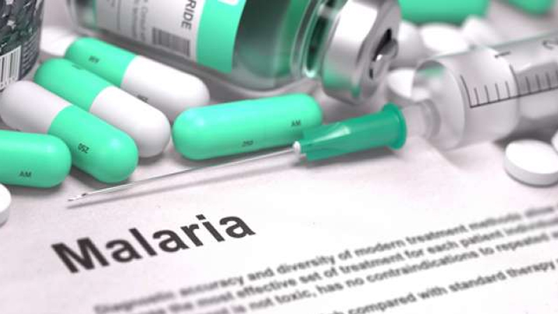 Malaria, Langkah Pencegahan Efektif di Daerah Endemis – PAFI Siak